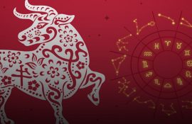 Horoscope for 2021 for all zodiac signs – who will have a good deal of luck?