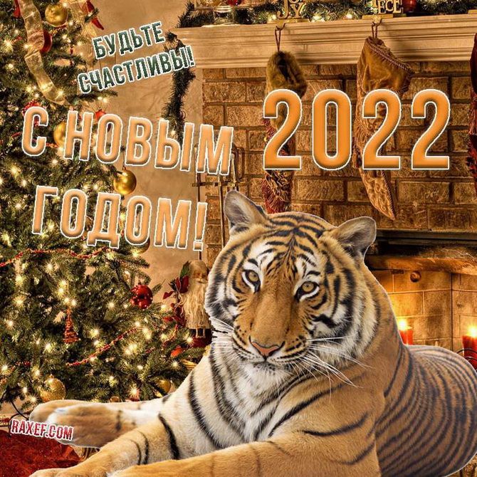Картинки с наступающим Новым годом 2022 – что пожелать в год Тигра? 25