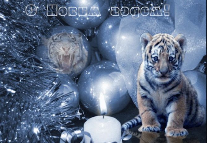 Картинки с наступающим Новым годом 2022 – что пожелать в год Тигра? 28