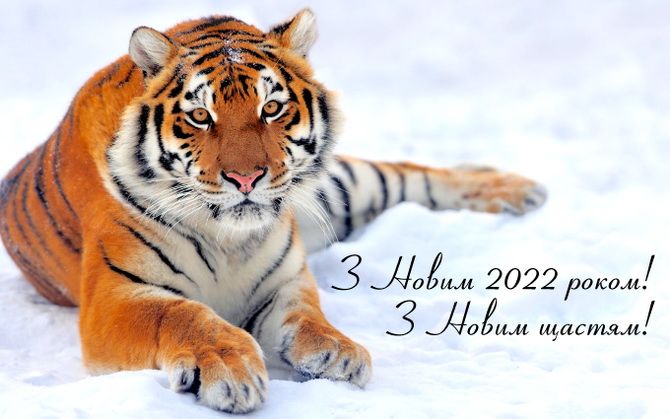 Картинки з прийдешнім Новим роком 2022 – що побажати в рік Тигра? 17