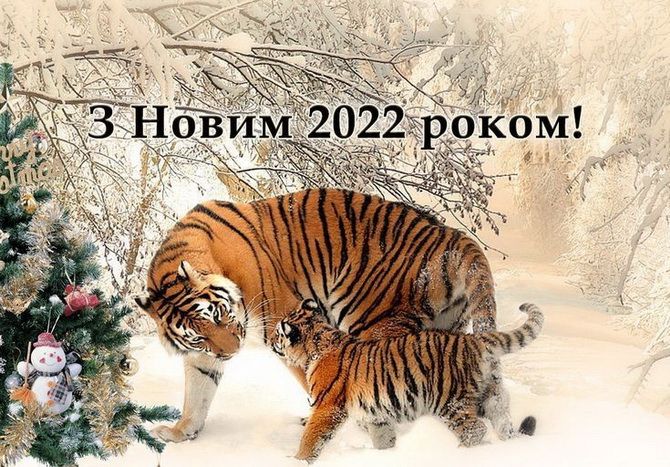 Картинки з прийдешнім Новим роком 2022 – що побажати в рік Тигра? 19
