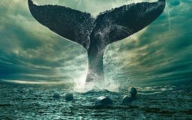 Найатмосферніші фільми про моря і океани: добірка від Joy-pup