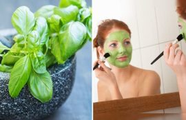 Маски из базилика: эффективное средство красоты