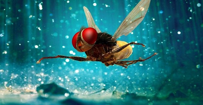 10 самых необычных и фантастических фильмов про насекомых 8