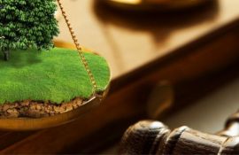 Споры по земле — когда возникают и куда обратиться
