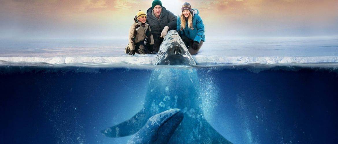 Топ-5 лучших фильмов про китов