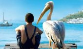 Фильмы про птиц — топ-5 лучших картин с пернатыми