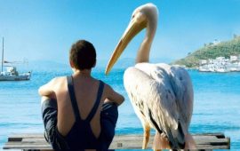Фильмы про птиц — топ-5 лучших картин с пернатыми