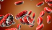 Что такое анемия и как это связано с гепатитом С?