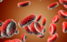 Что такое анемия и как это связано с гепатитом С?