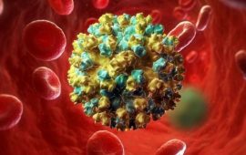 Как быстро развивается гепатит С?
