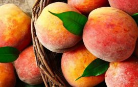 Перша допомога восени: як персикове масло допомагає від нежиті