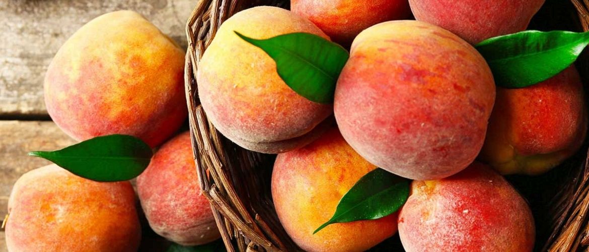 Первая помощь осенью: как персиковое масло помогает от насморка