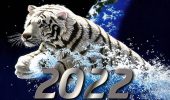 Schöne Neujahrsbilder für Wassertiger 2022