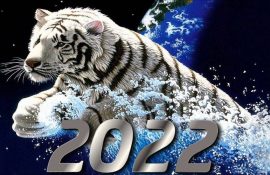 Beautiful New Year pictures for 2022 Water Tiger