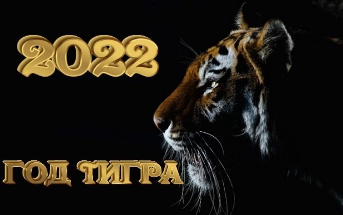 Красиві новорічні картинки на 2022 рік Водяного Тигра 10