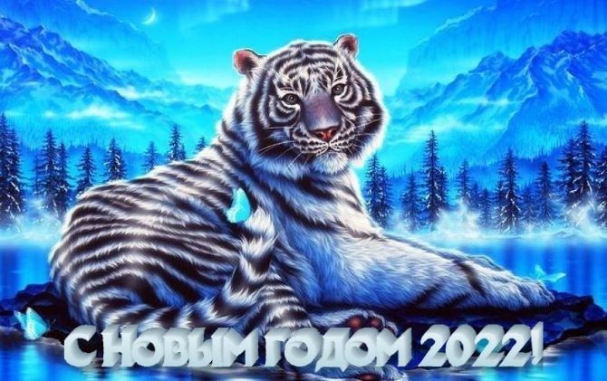 Красивые новогодние картинки на 2022 год Водяного Тигра 14
