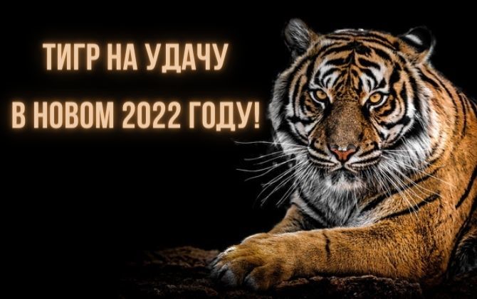 Красиві новорічні картинки на 2022 рік Водяного Тигра 16