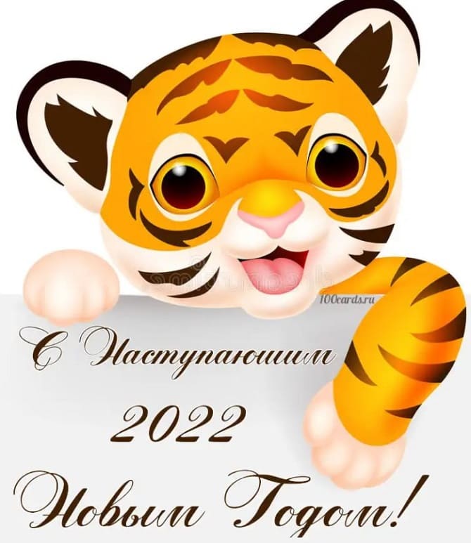 С наступающим Новым годом 2022: что пожелать в год Тигра? 10