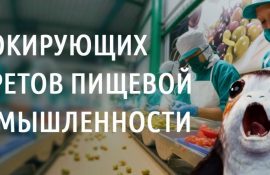 5 шокирующих секретов пищевой промышленности