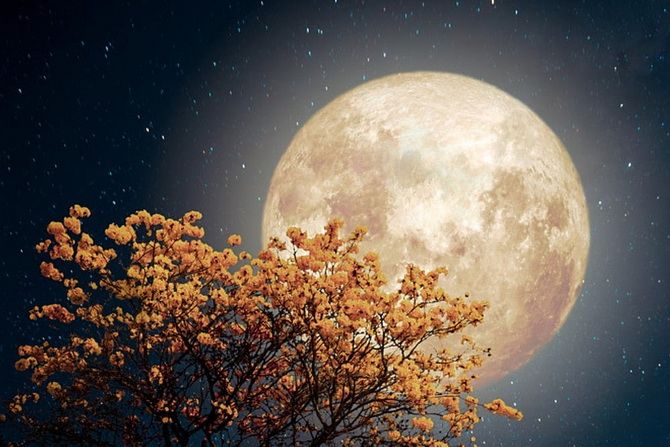 Полнолуние в декабре 2021 года — какие возможности сулит этот лунный день 3