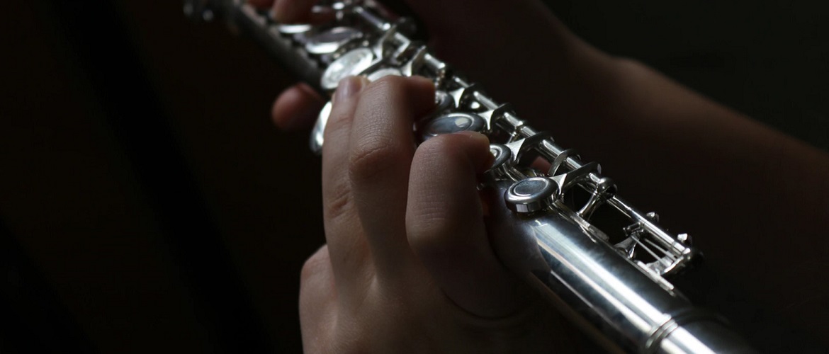 Что нужно знать при выборе флейты: особенности музыкального инструмента