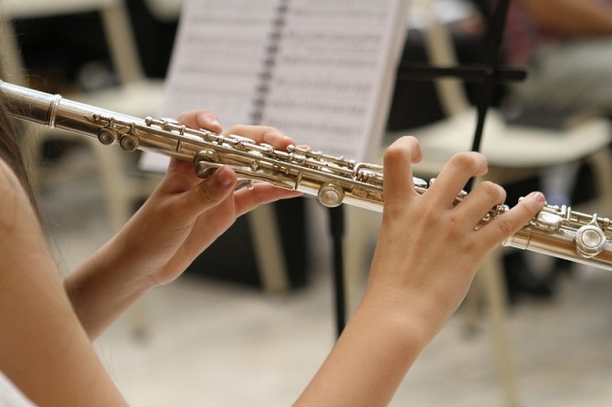 Что нужно знать при выборе флейты: особенности музыкального инструмента 1