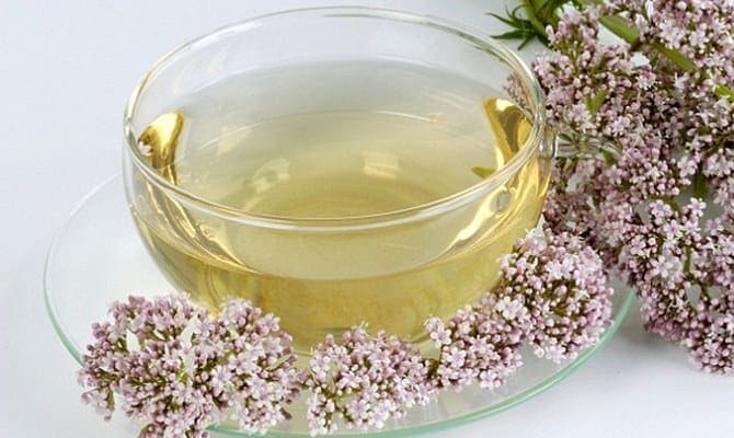 Чай против стресса: 5 лучших напитков для успокоения нервной системы 5