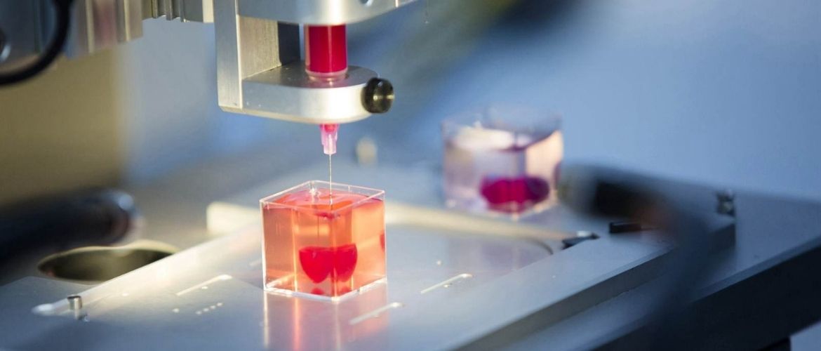 Biomaterialien statt Tinte: Wie Biodrucker drucken