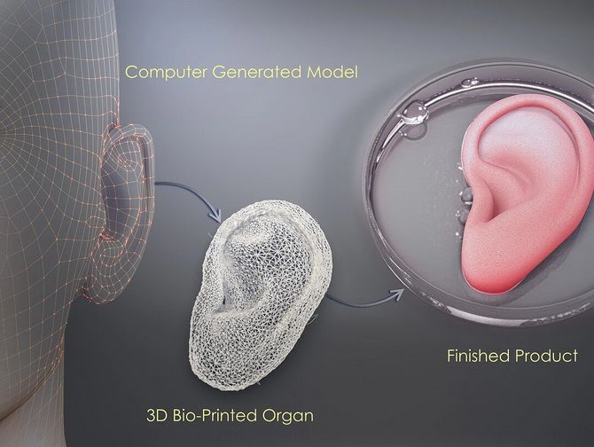 Biomaterials instead of ink: how bioprinters print 3