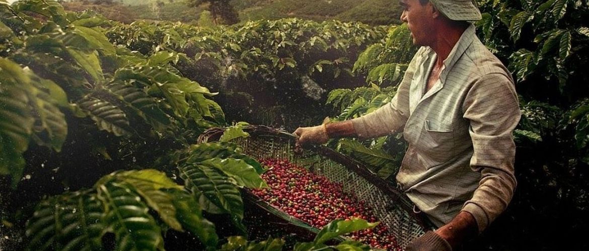 Спешелти кофе от избранных фермеров мира в Coffee Story