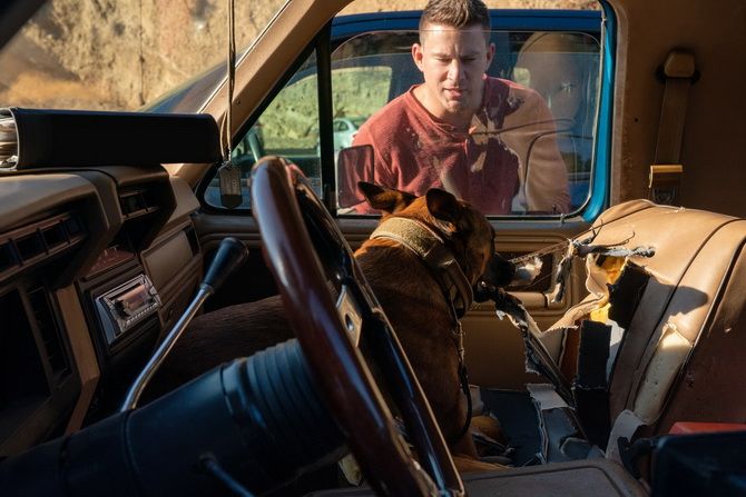 Фильм «Лулу и Бриггс»: дорожные путешествия двух рейнджеров, один из которых — собака 2