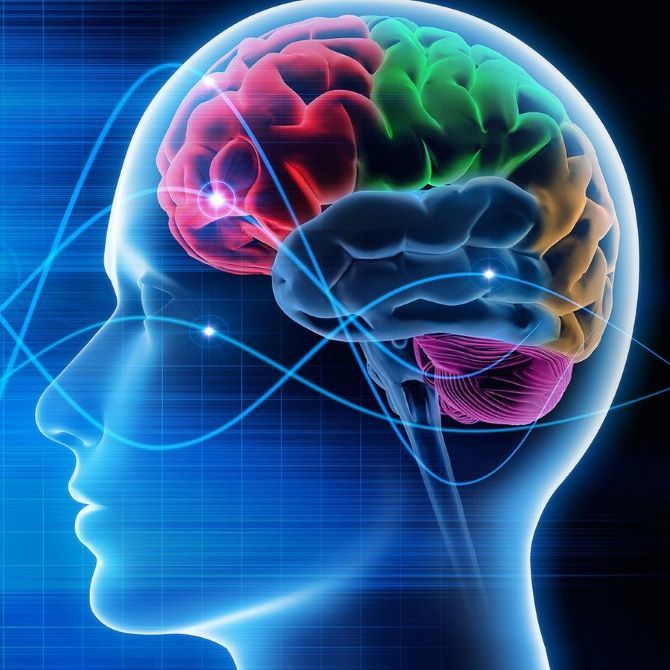 Сколько мыслей в день генерирует мозг человека? 1
