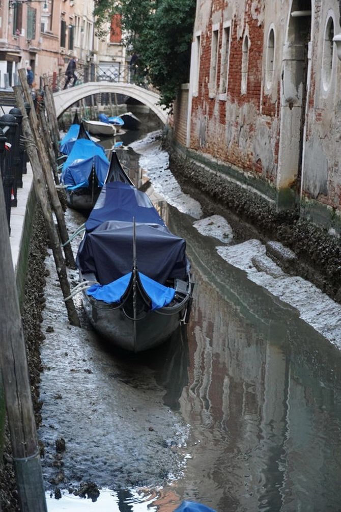 Что увидели люди, когда из Венеции ушла вся вода 3