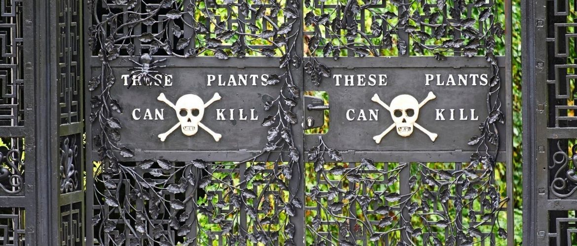 Найнебезпечніший сад у світі заворожує красою і нею ж убиває