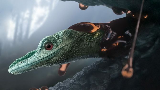 Ящерицу, застывшую в янтаре 99 миллионов лет назад, приняли за динозавра 3