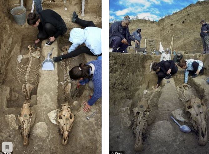 «Вау-находка»: археологи откопали 2000-летнюю колесницу с целыми скелетами лошадей 1