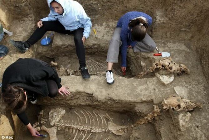 «Вау-находка»: археологи откопали 2000-летнюю колесницу с целыми скелетами лошадей 2