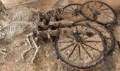 «Вау-находка»: археологи откопали 2000-летнюю колесницу с целыми скелетами лошадей