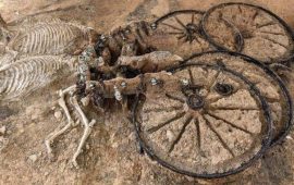 «Вау-знахідка»: археологи відкопали 2000-річну колісницю з цілими скелетами коней