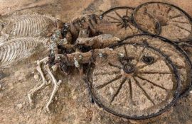 «Вау-находка»: археологи откопали 2000-летнюю колесницу с целыми скелетами лошадей