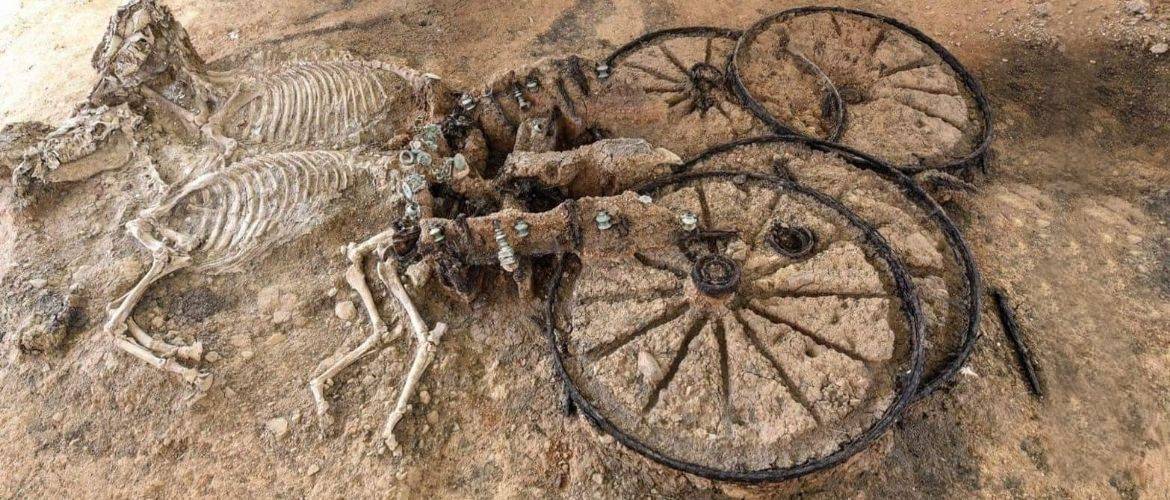 „Wow-Fund“: Archäologen haben einen 2000 Jahre alten Streitwagen mit intakten Pferdeskeletten ausgegraben