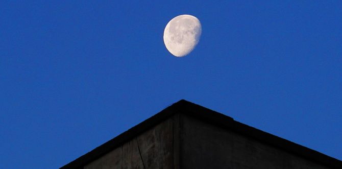 Wie wirkt sich die Mondphase, in der Sie geboren wurden, auf Ihr Leben aus? 4