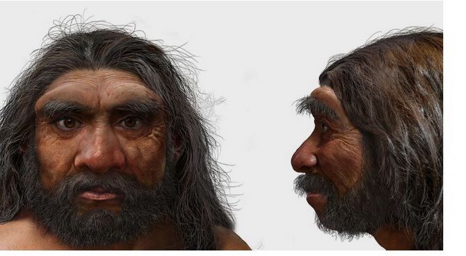 Неизвестный вид людей: кому принадлежит череп возрастом 146 000 лет, найденный в Китае? 2