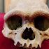 Невідомий вид людей: кому належить череп віком 146 000 років, знайдений у Китаї?