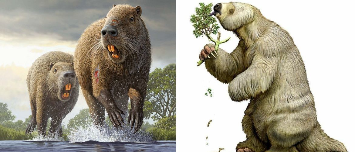 What were prehistoric sloths and rats like?