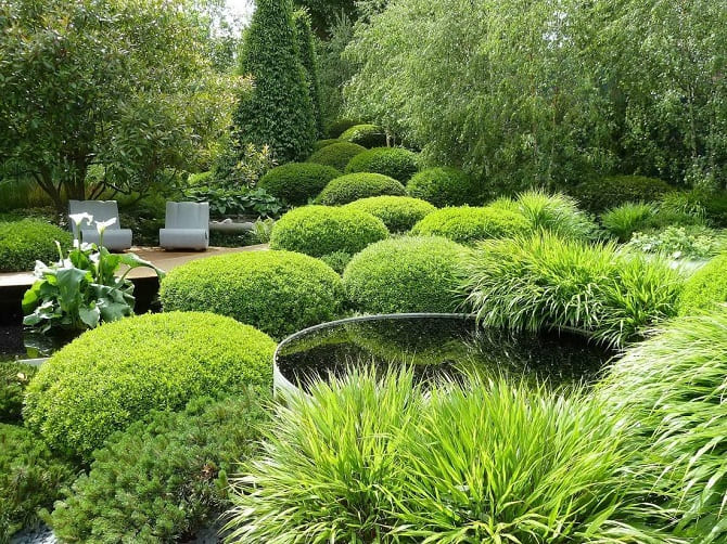 Создаем уютный сад в частном дворе: какие растения выбрать? 1