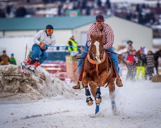 Extreme skijoring – what kind of sport is it? 2