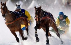 Extreme skijoring – what kind of sport is it?