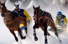 Extreme skijoring – what kind of sport is it?